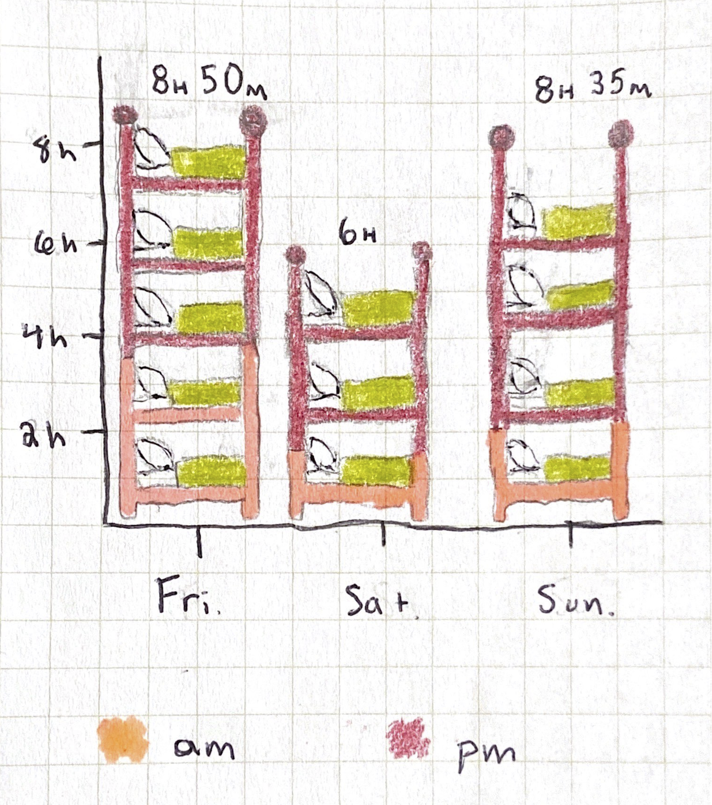 sleep chart